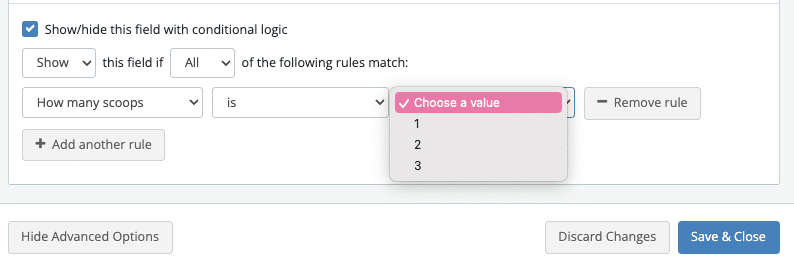Conditional logic rule setup where a field is shown when 'Preferred Time' field 'is' equal to 'Other'