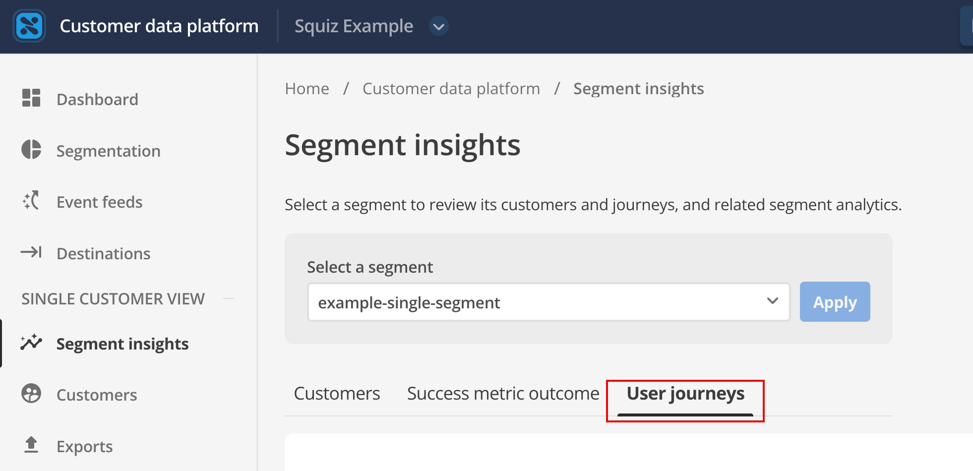 segment insights tabs