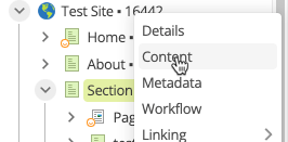 This image shows the drop-down menu that appears when you right-click on a standard page. The cursor is highlighting 'Content'.
