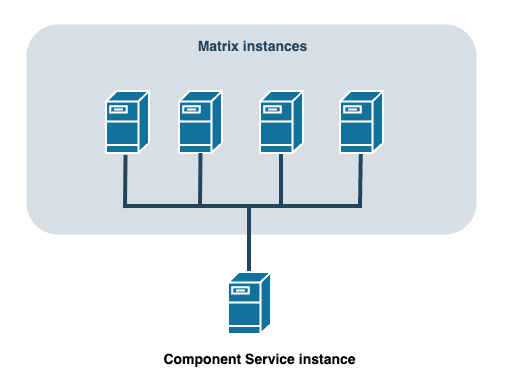 This diagram shows a group of Squiz Content Management Service instances all joined to one Component Service instance.
