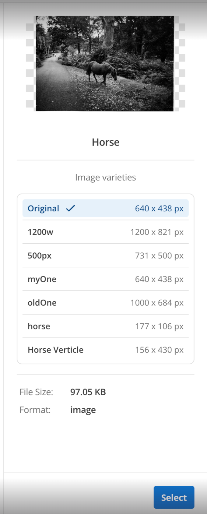 The image varieties dialog with an image of a horse and the original variety selected