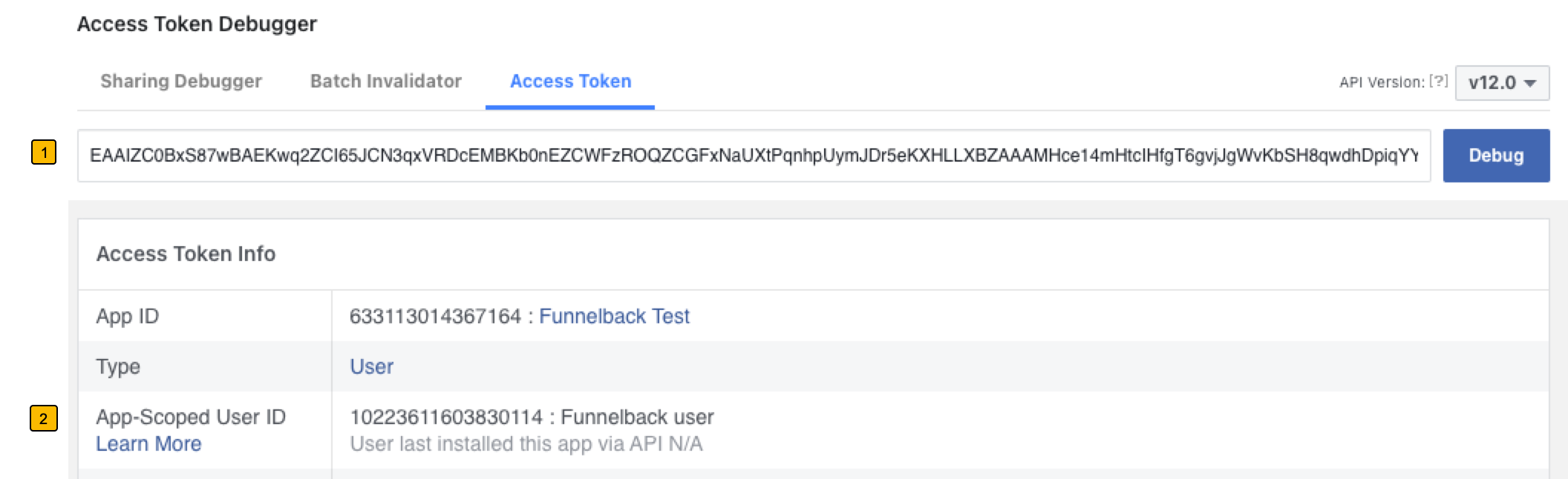 Long-lived user access token