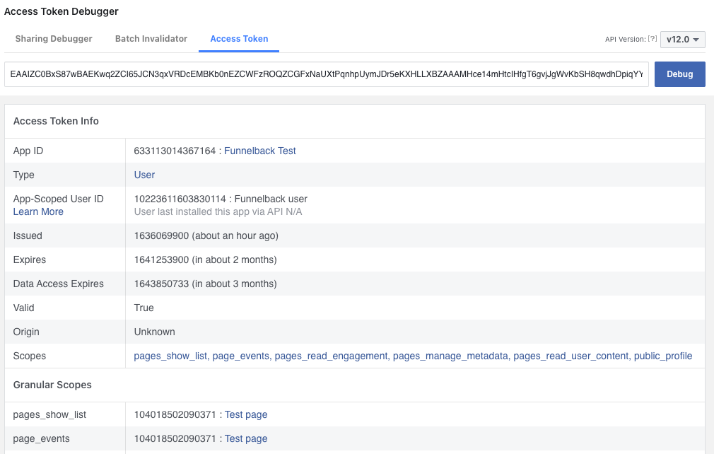 Access token debugger