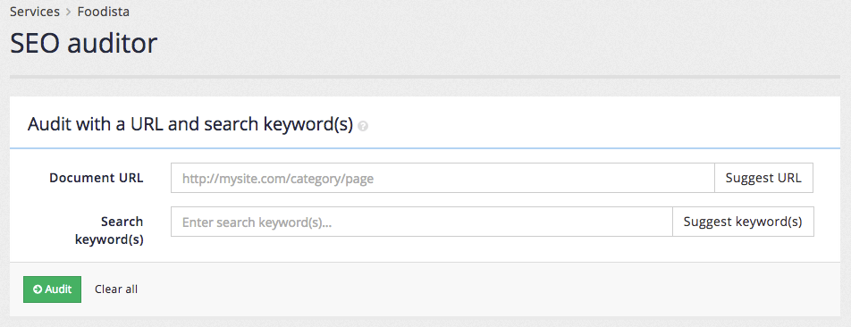 exercise seo auditor 01