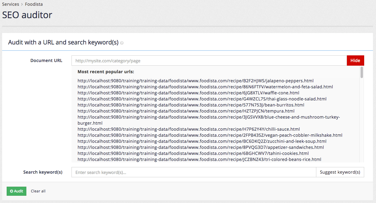 exercise seo auditor 02