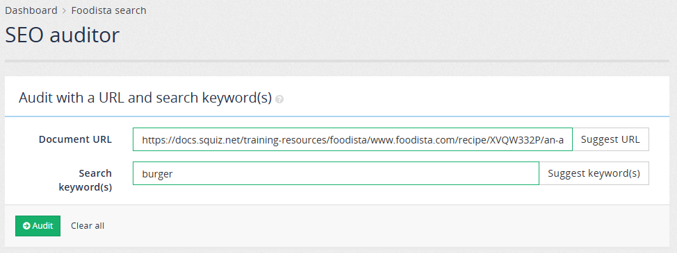 exercise seo auditor 04