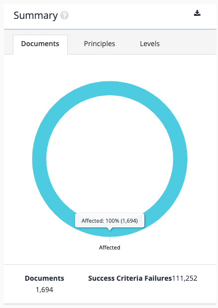 exercise view accessibility auditor reports 03