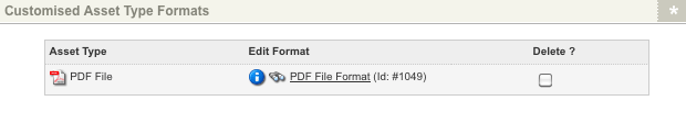 The customized asset type formats section