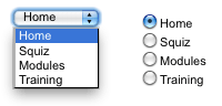 A dropdown list and a radio button list