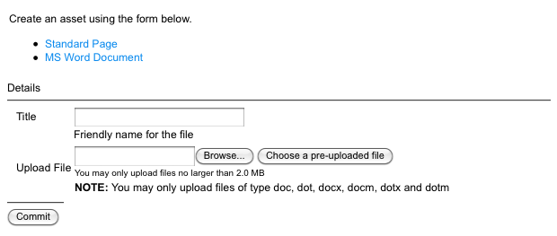 The default layout of the create form for an MS Word document.
