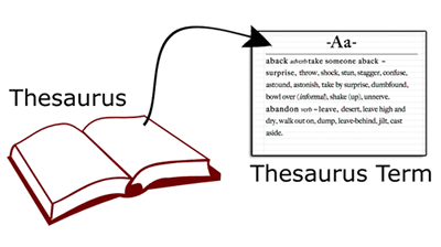 The relation between the thesaurus and thesaurus term