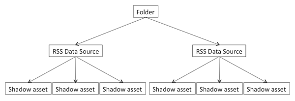 The structure of shadow assets within Matrix