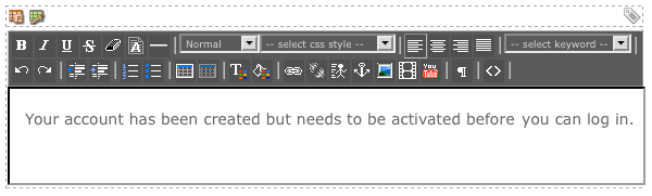 The WYSIWYG editor on the created but not live bodycopy
