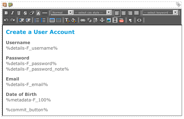 The WYSIWYG editor on the user Create form layout