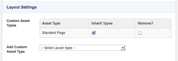 The custom asset types field listing the standard page asset type