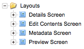 The layout asset