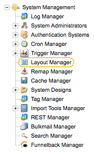 The layout manager asset