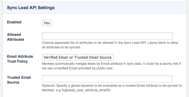 The sync lead API settings section of the Details screen