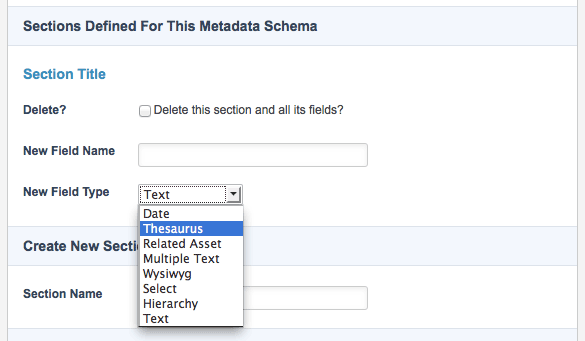 The thesaurus selection in the new field type field