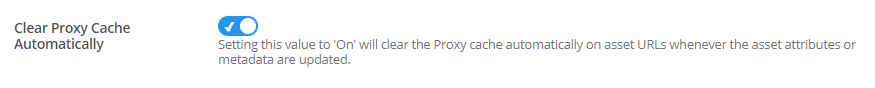 Clear Proxy Cache Automatically setting