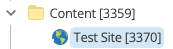This image shows a site asset called website created as a child of the Content folder.