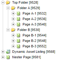 dynamic asset listing asset structure