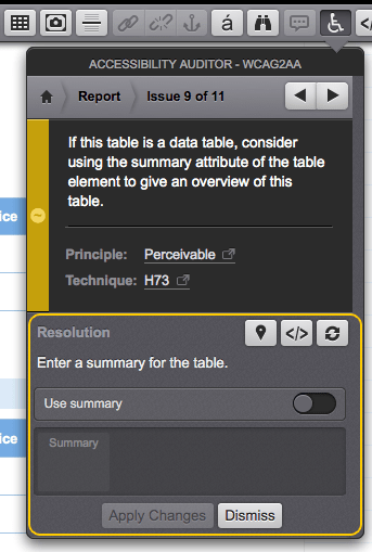 Accessibility Report Sections