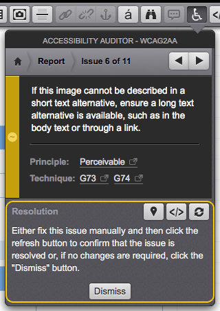 The resolution section of the accessibility auditor