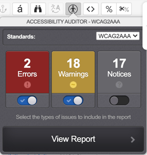 The accessibility auditor modal showing errors and warnings
