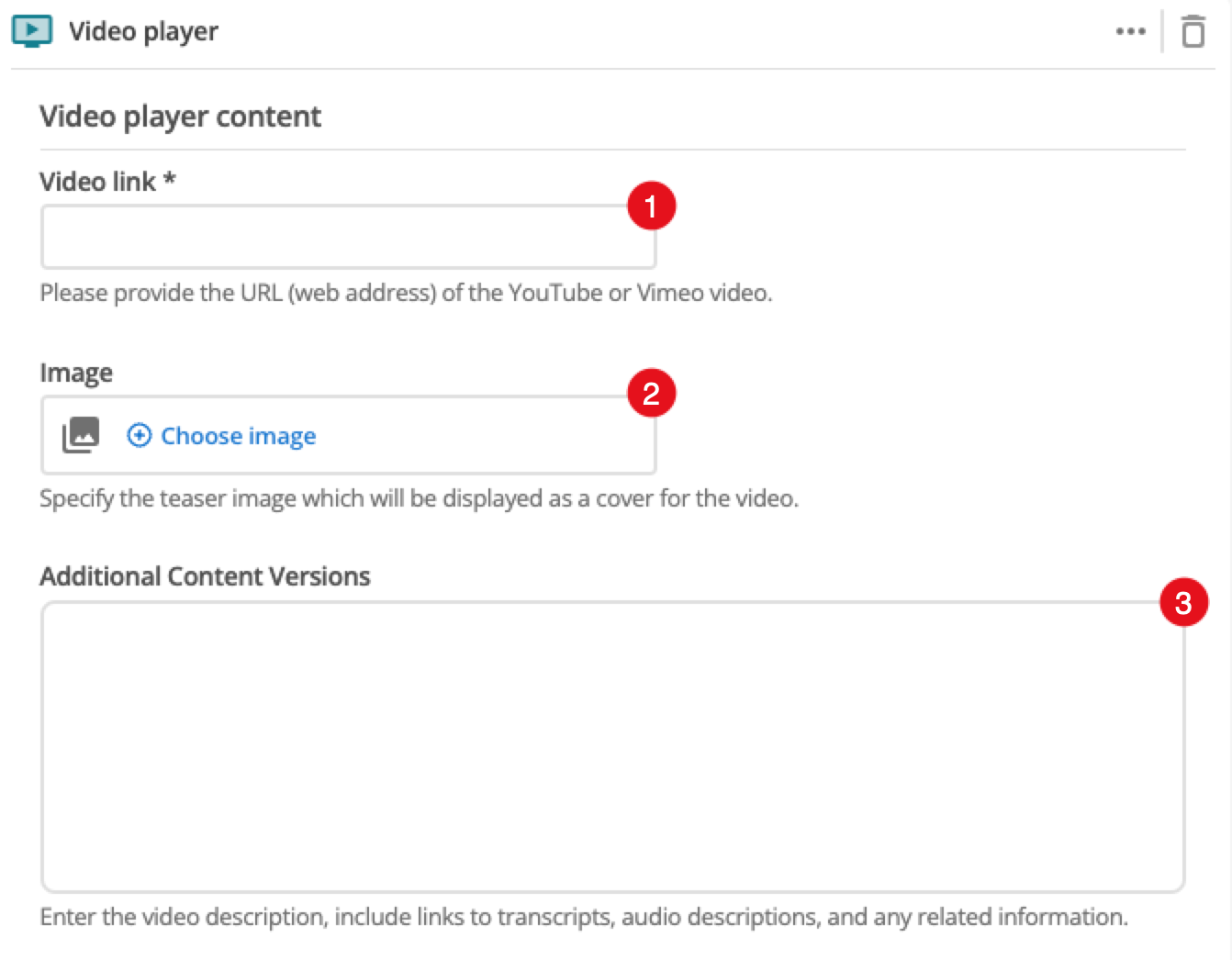 video player fields