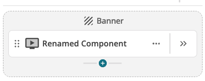 renamed item page outline