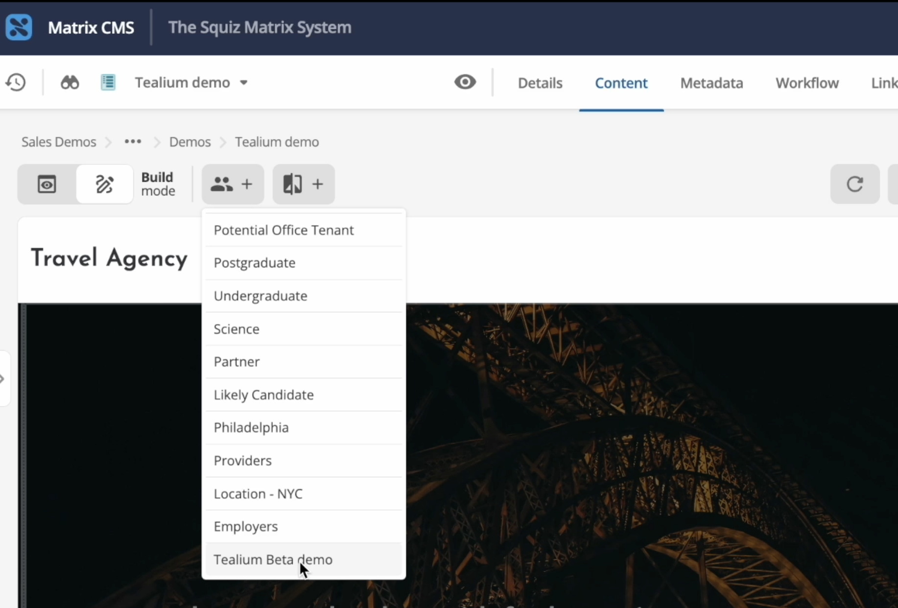 tealium vpb personalization interface